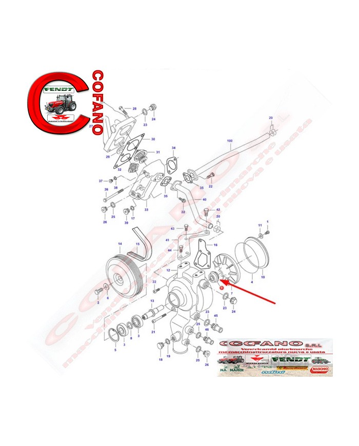 Paraolio pompa acqua ACW2322830 Paraolio pompa acqua ACW2322830