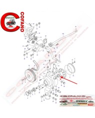 Paraolio pompa acqua ACW2322830 Paraolio pompa acqua ACW2322830