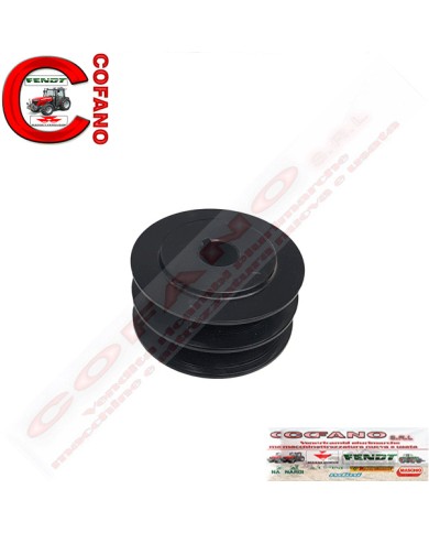 Puleggia 1695617M1 MF serie 300-4200