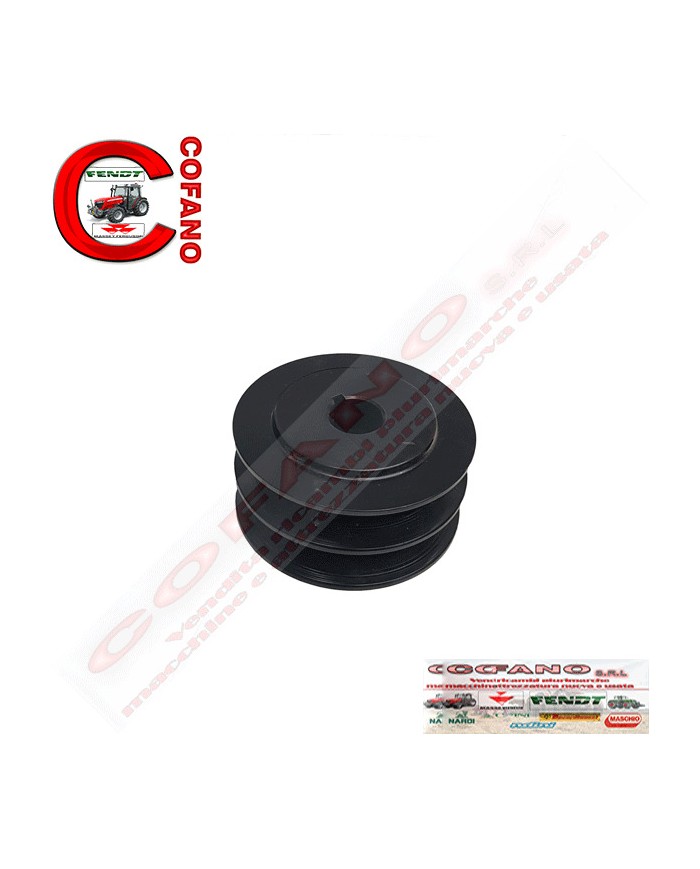 Puleggia 1695617M1 MF serie 300-4200