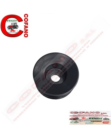 Puleggia 1695617M1 MF serie 300-4200
