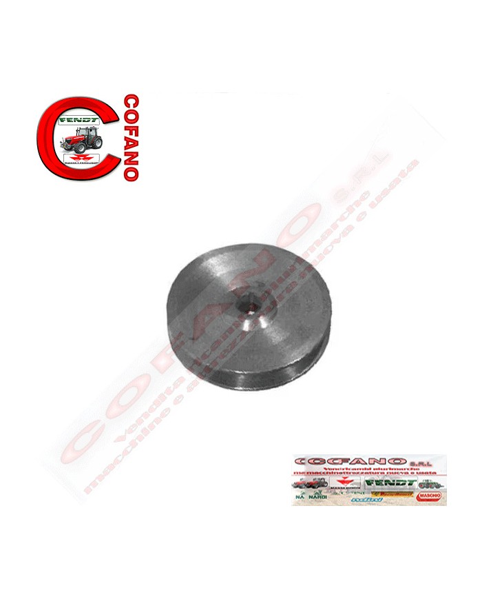Puleggia dinamo 31141425 Puleggia dinamo 31141425