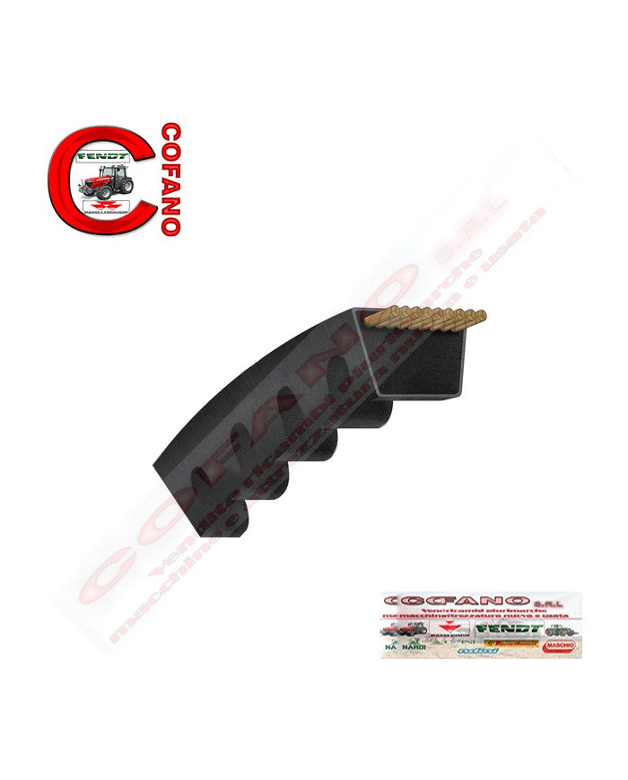 Cinghia AVX13x1185 Li