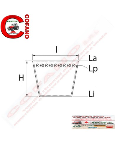 Cinghia AVX13x1185 Li