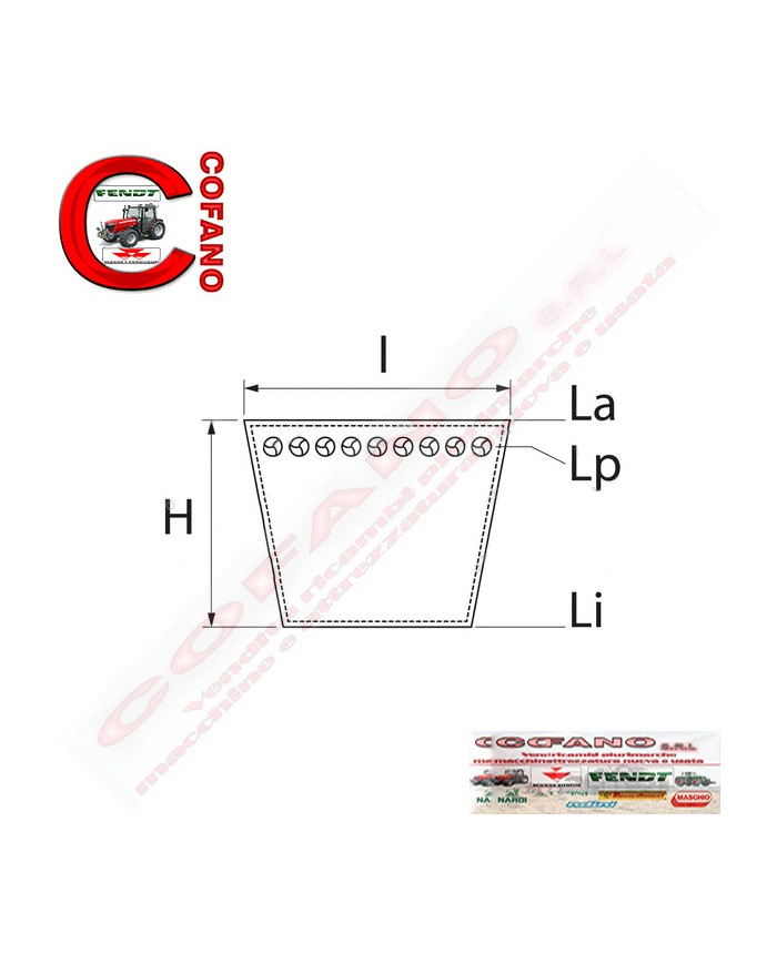 Cinghia AVX13x1185 Li