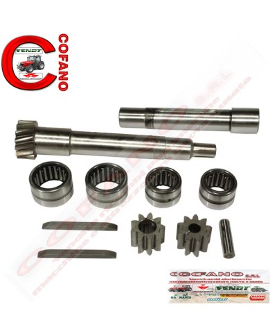 Kit riparo equilibratore MF 100-200-500-600 Landini