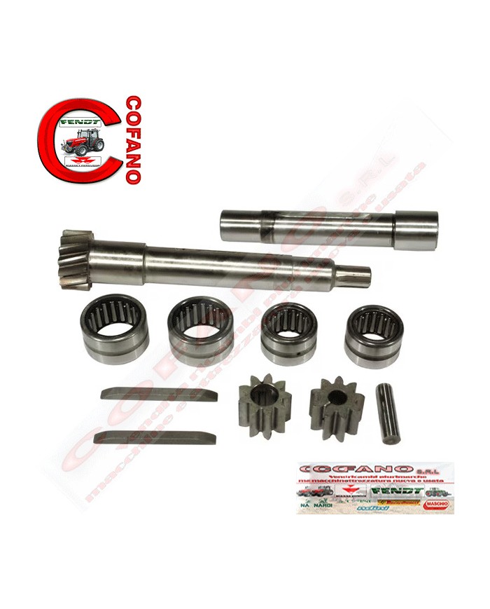 Kit riparo equilibratore MF 100-200-500-600 Landini