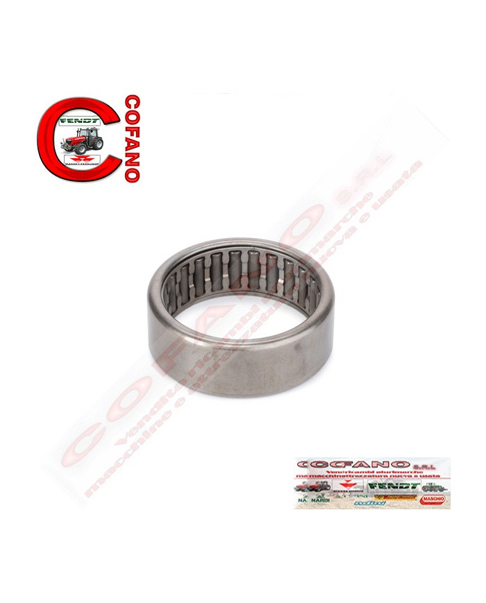 Cuscinetti a rulli massa equilibratrice 1447727M91 Agco