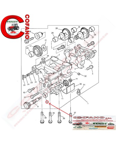 Cuscinetti a rulli massa equilibratrice 1447727M91 Agco Cuscinetti a rulli massa equilibratrice 1447727M91 Agco