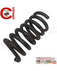 Molla per scuotitore Berardinucci Tornado Originale