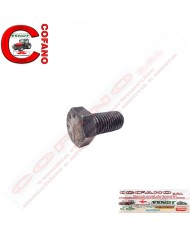 Bullone Vite 3/4 x 1 1/2' UNC Filettatura: 38 mm