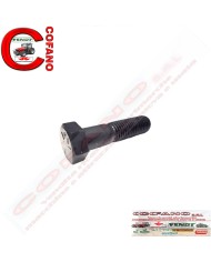 Bullone vite porta zavorre 3/4 x 3' UNC Filettatura: 5 cm