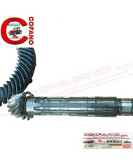 Coppia conica differenziale 3220020R94 trattori Case IH 644, 744, 844, 844S, 955