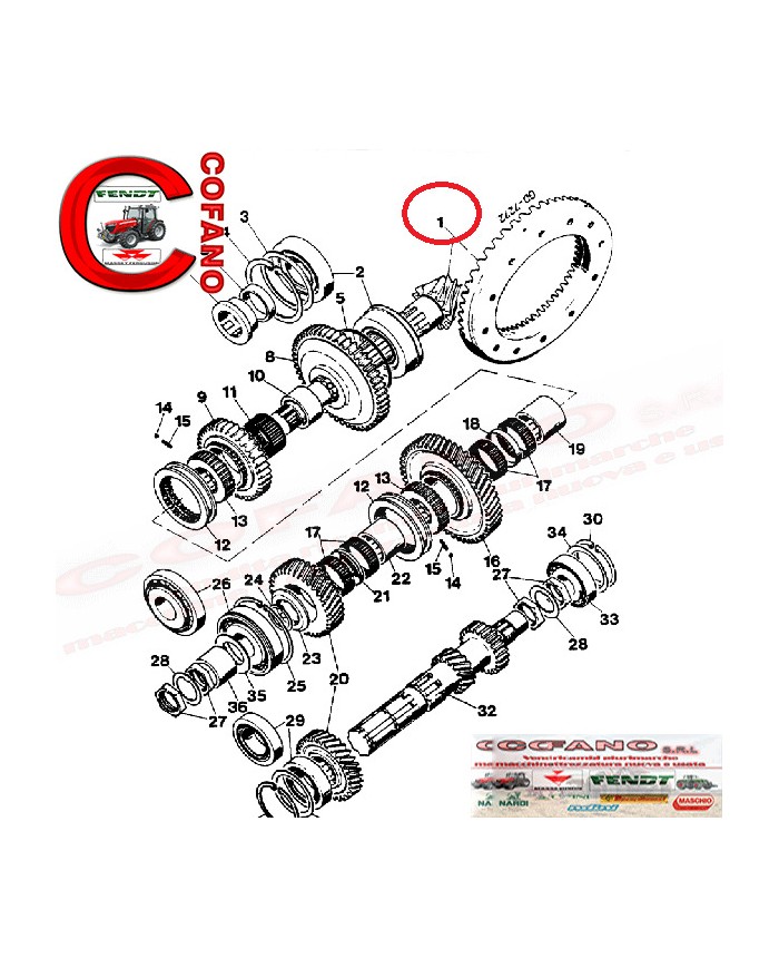 Coppia conica differenziale 3220020R94 trattori Case IH 644, 744, 844, 844S, 955