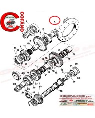 Coppia conica differenziale 3220020R94 trattori Case IH 644, 744, 844, 844S, 955