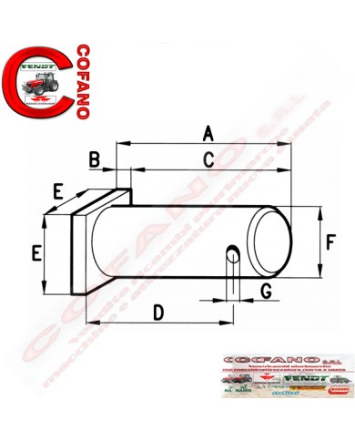 Perno per forcelle dei tiranti registrabili dimensioni 52x18 mm foro 6 mm