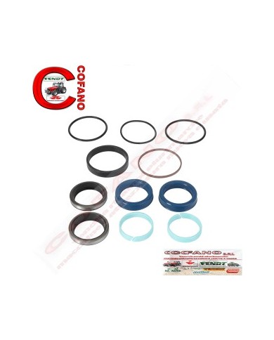 Kit guarnizioni cilindro idroguida Landini 3623120M91