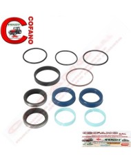 Kit guarnizioni cilindro idroguida Landini 3623120M91