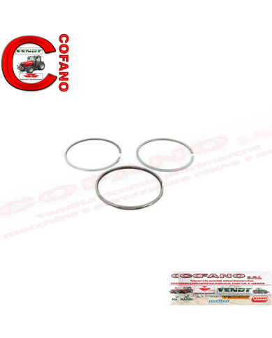 Set Anelli motore Case IH D155, D179, D206, D239, DT239, D310, D358, DT358, 3139594R91