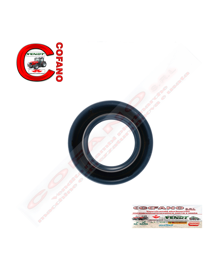 Paraolio X550035200000 Agco 22x35x7