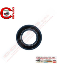 Paraolio X550035200000 Agco 22x35x7