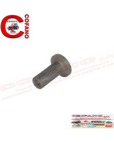 Valvola punteria 3055052R1 Case IH