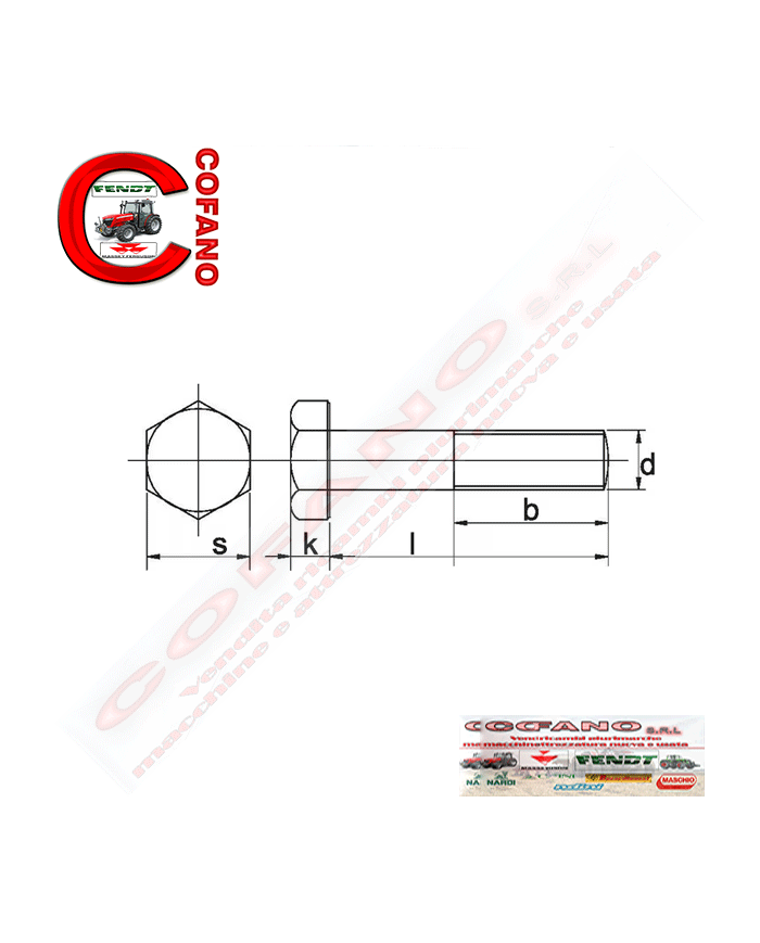 Vite completa M14x55 Maschio