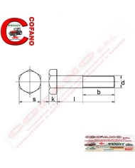 Vite completa M14x55 Maschio