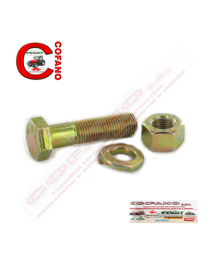 Vite completa M14x55 Maschio