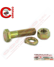 Vite completa M14x55 Maschio