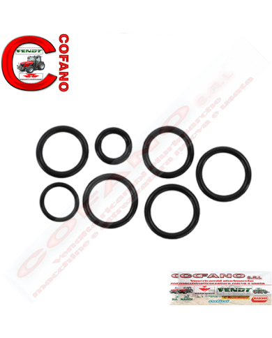 Kit riparo distributore 3540244M91 MF serie 300