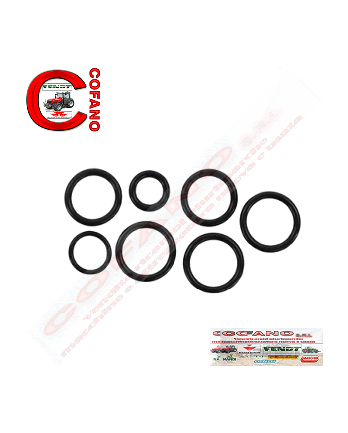 Kit riparo distributore 3540244M91 MF serie 300