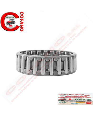 Cuscintetto gabbia a rullini 55x65x20 Agco 842921M1 Cuscintetto gabbia a rullini 55x65x20 Agco 842921M1