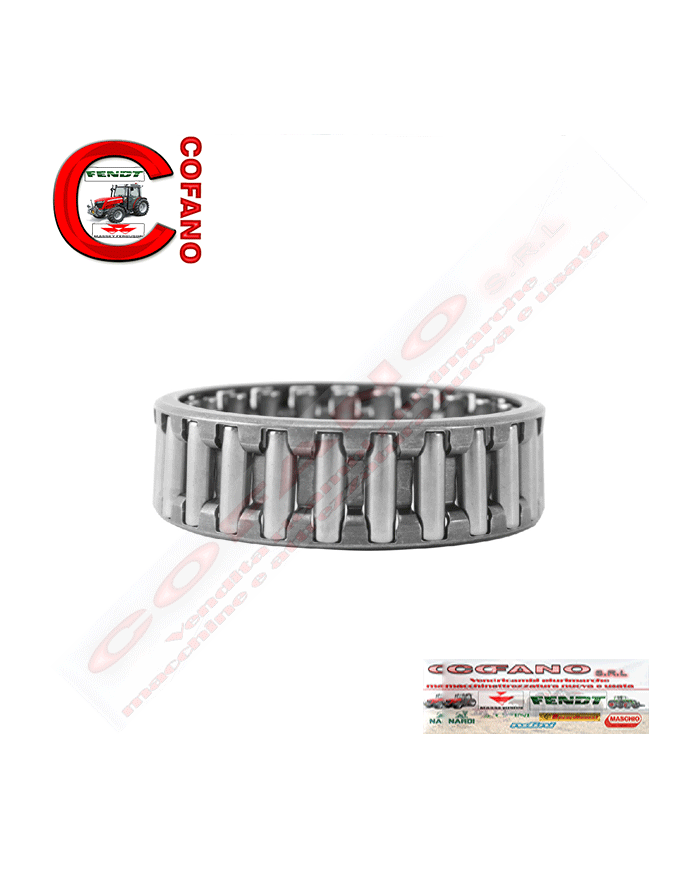 Cuscintetto gabbia a rullini 55x65x20 Agco 842921M1