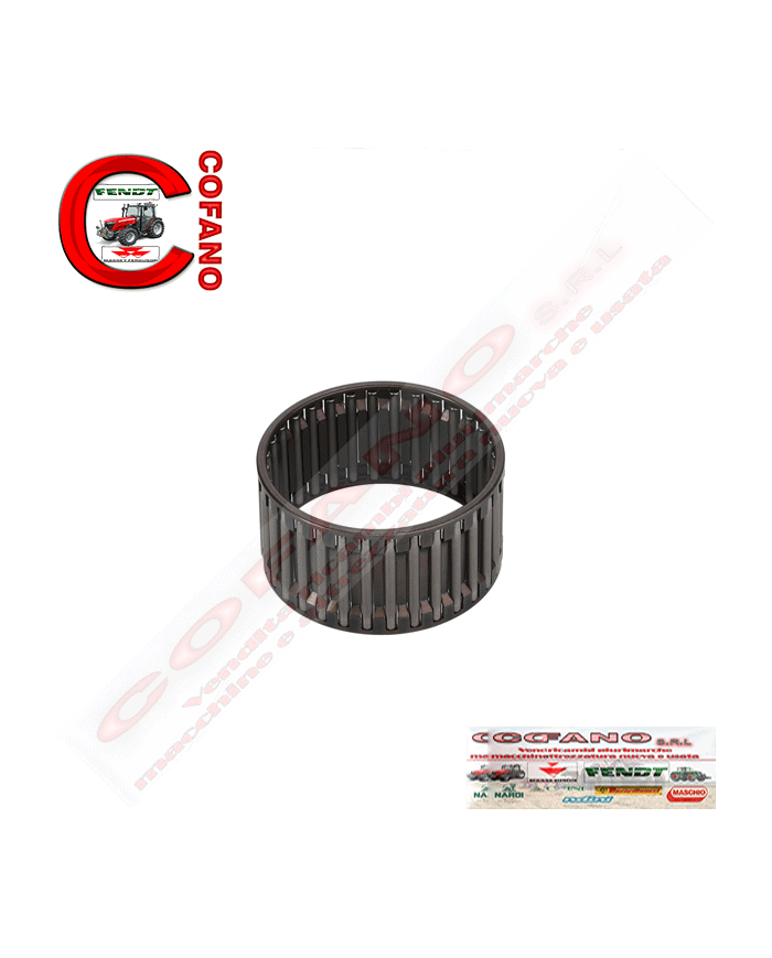Cuscinetto gabbia a rulli 3698291M1 Agco