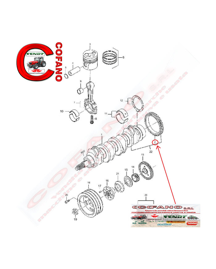 Ingranaggio albero motore Agco V836124524