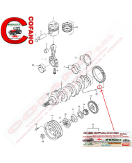 Ingranaggio albero motore Agco V836124524