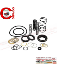 Kit riparazione pompa freno 3232100R91 Case IH serie 55 56