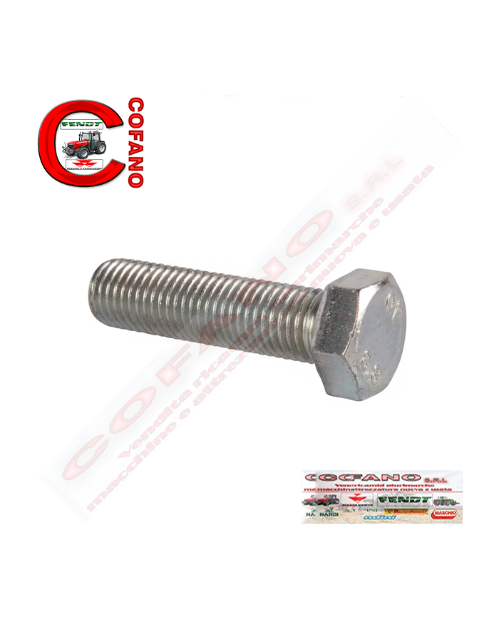 Vite a testa esagonale 2.0112.621.2 SHL