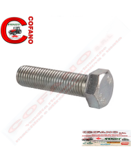 Vite a testa esagonale 2.0112.621.2 SHL