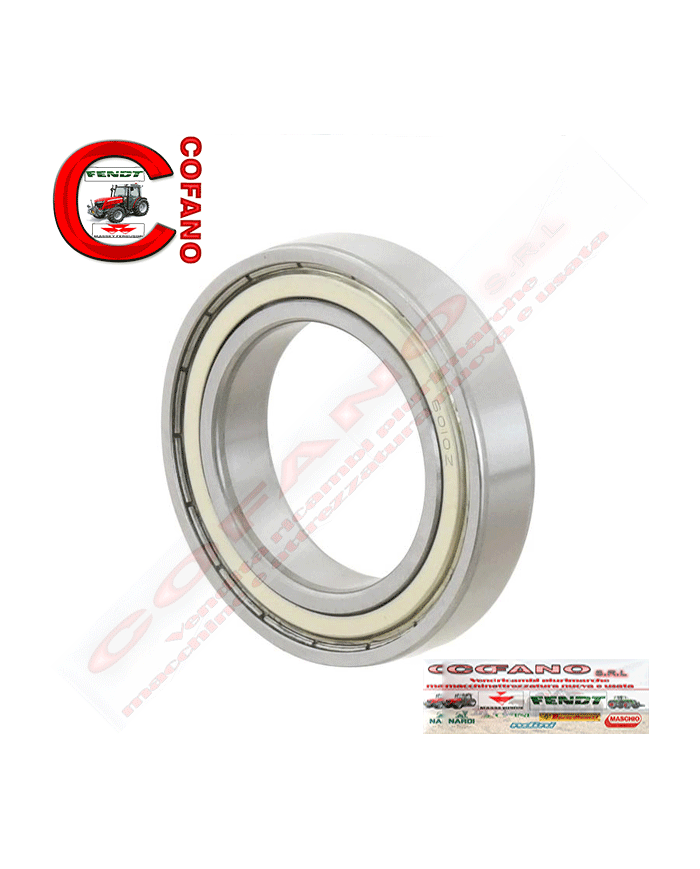 Cuscinetto a sfere scanalati tipo largo 6010ZZ