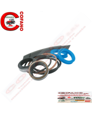 Kit anelli di tenuta per Landini Massey Ferguson