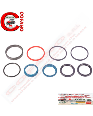 Kit riparo cilindro sterzo Landini 3765401M91