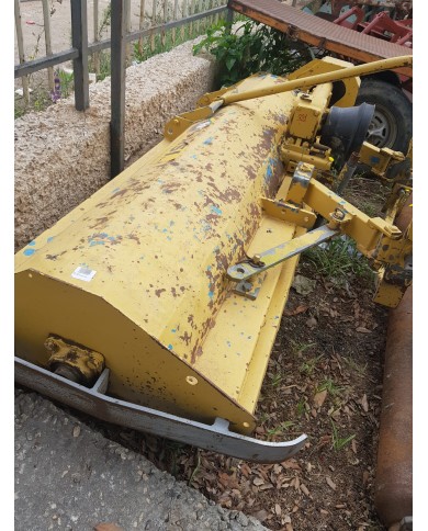 Trincia Orsi Trincia Orsi