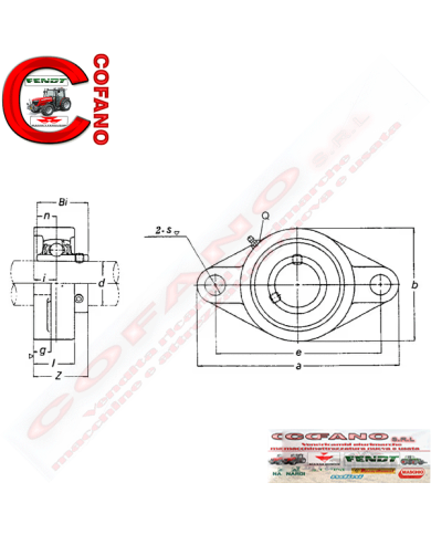 Supporto flangia ovale completo
