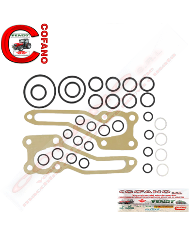 Kit riparo pompa sollevatore Massey Ferguson