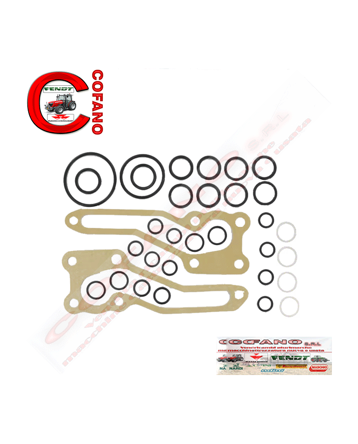 Kit riparo pompa sollevatore Massey Ferguson Kit riparo pompa sollevatore Massey Ferguson