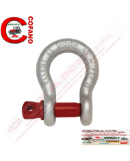 Grillo di ancoraggio con perno a vite G209 - Carico: 3/4T - Dimensioni: 7.94 mm Grillo di ancoraggio con perno a vite G209 - Carico: 3/4T - Dimensioni: 7.94 mm