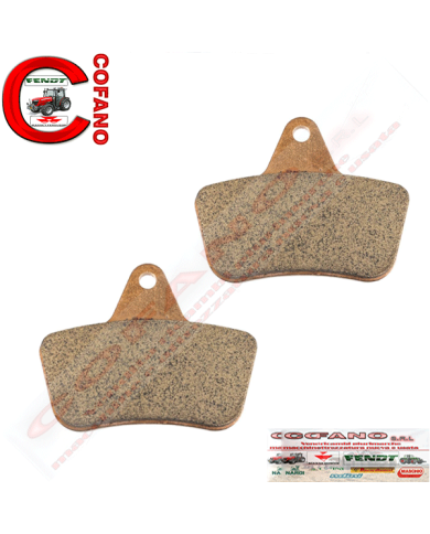 Pastiglia freno Arctic Cat ATV