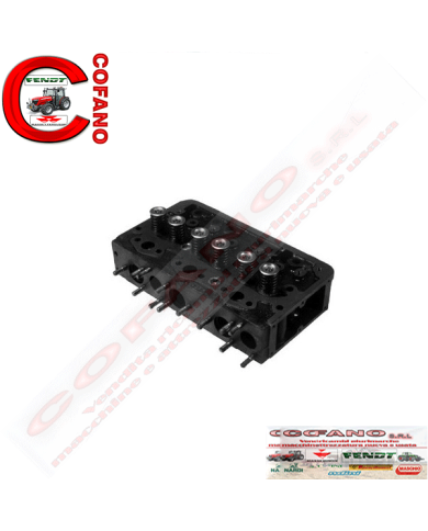 Testata motore completa A3.144